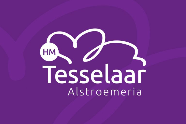 SEO Schagen website Tesselaar