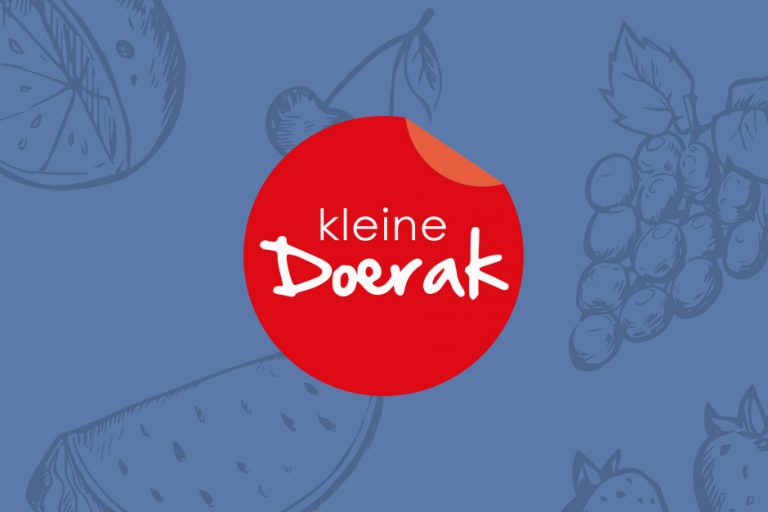 SEO Schagen Kleine Doerak website